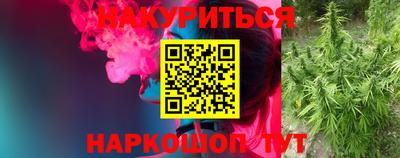 гашик Бузулук